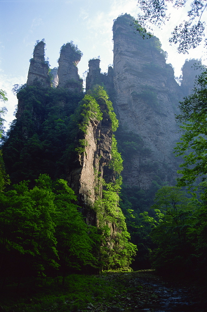 The spectacular limestone outcrops and forested valleys of Zhangjiajie Forest Park, Wulingyuan Scenic Area, UNESCO World Heritage Site, Hunan, China, Asia