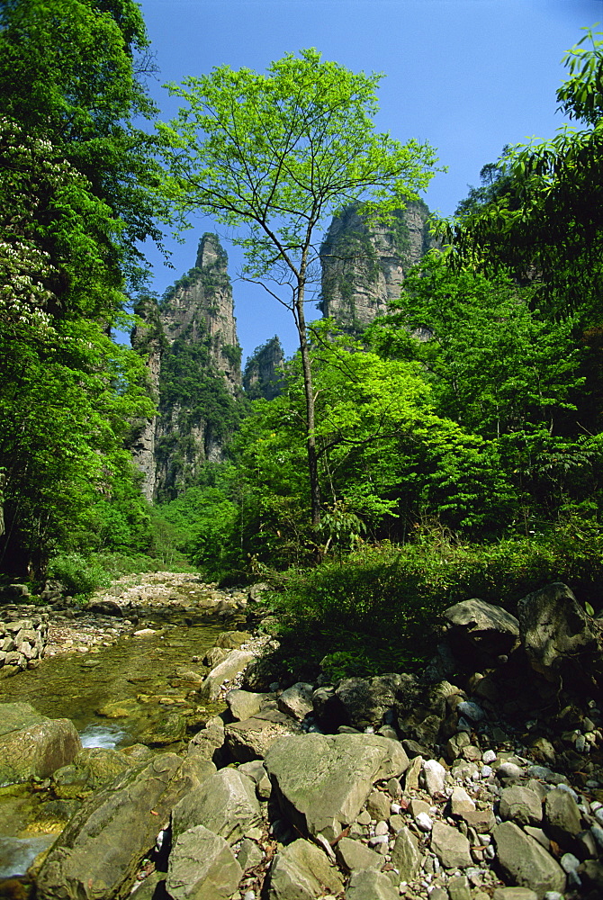 Limestones rock formations in forested valley, Hunan Province, China, Asia