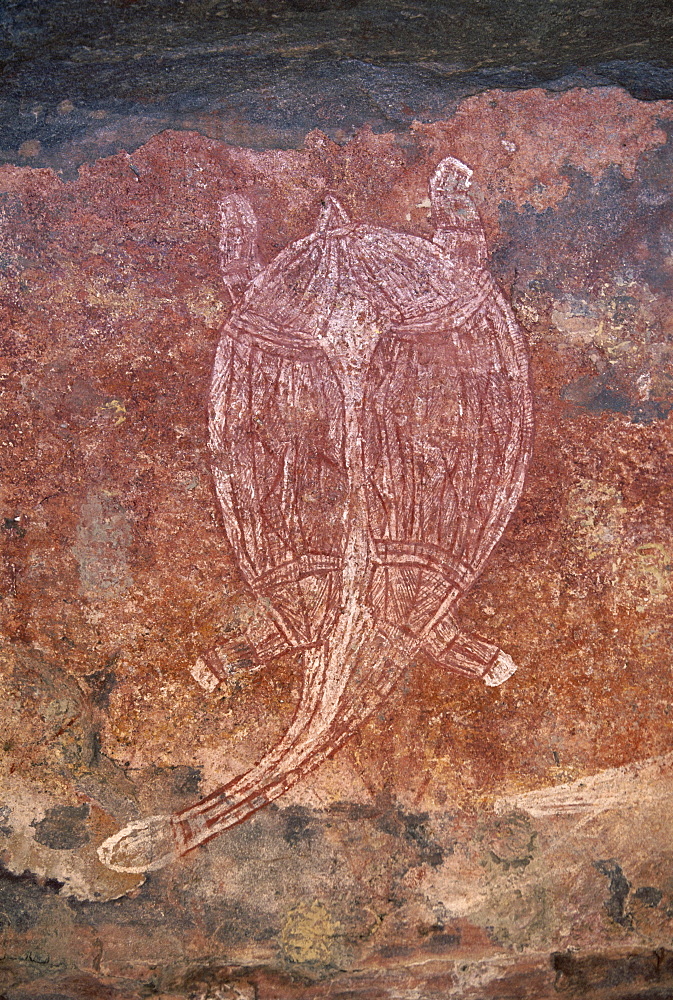 Painting of turtle at the aboriginal rock art site at Obirr Rock in Kakadu National Park where the paintings date from 20000 years old to modern, UNESCO World Heritage Site, Northern Territory, Australia, Pacific