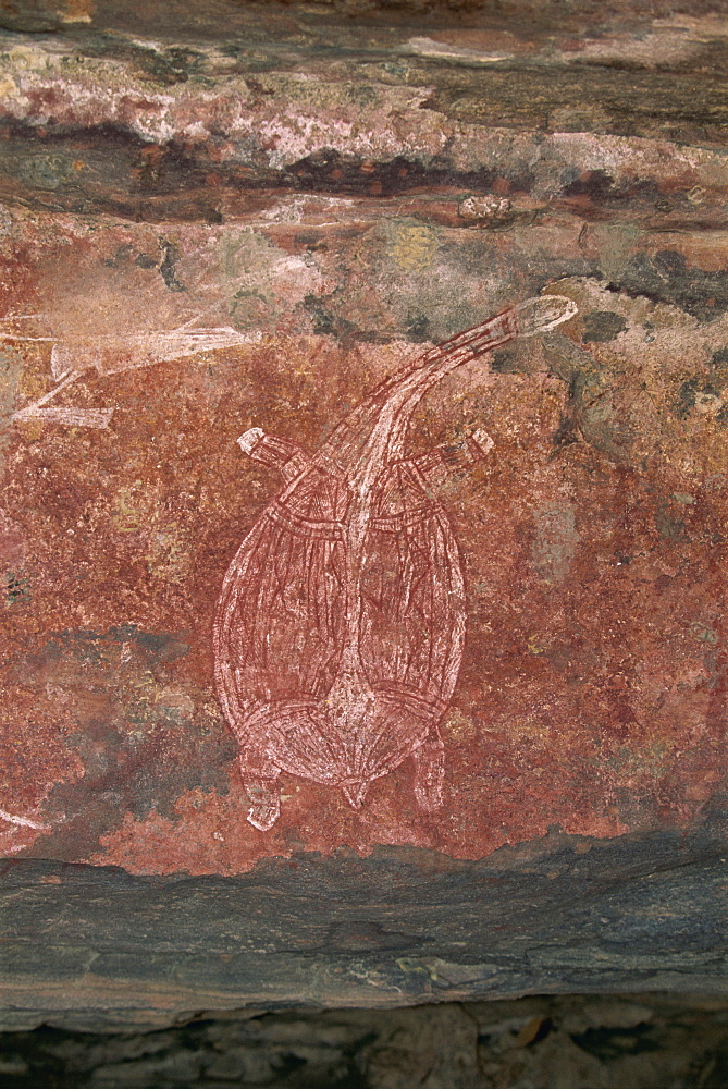 Painting of a turtle at the Aboriginal rock art site at Ubirr Rock, Kakadu National Park, where paintings date from 20000 years old to present day, UNESCO World Heritage Site, Northern Territory, Australia, Pacific