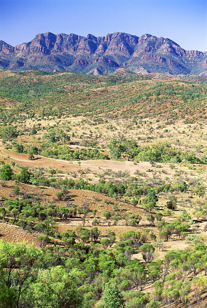 Looking towards the eastern escarpment of Wilpena Pound, a huge natural basin in the Flinders Ranges National Park, South Australia, Australia, Pacific