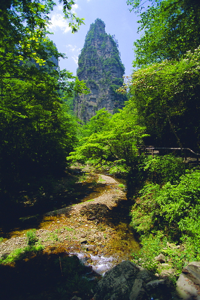 Spectacular limestone outcrops and forested valleys of Zhangjiajie Forest Park in the Wulingyuan Scenic Area, Hunan Province, China