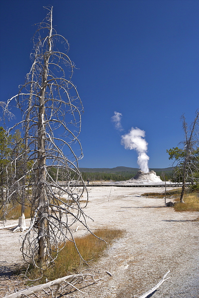 Castle Geyser, Upper Geyser Basin, Yellowstone National Park, UNESCO World Heritage Site, Wyoming, United States of America, North America 