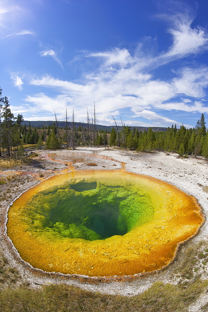 Morning Glory Pool, Upper Geyser Basin, Yellowstone National Park, UNESCO World Heritage Site, Wyoming, United States of America, North America 