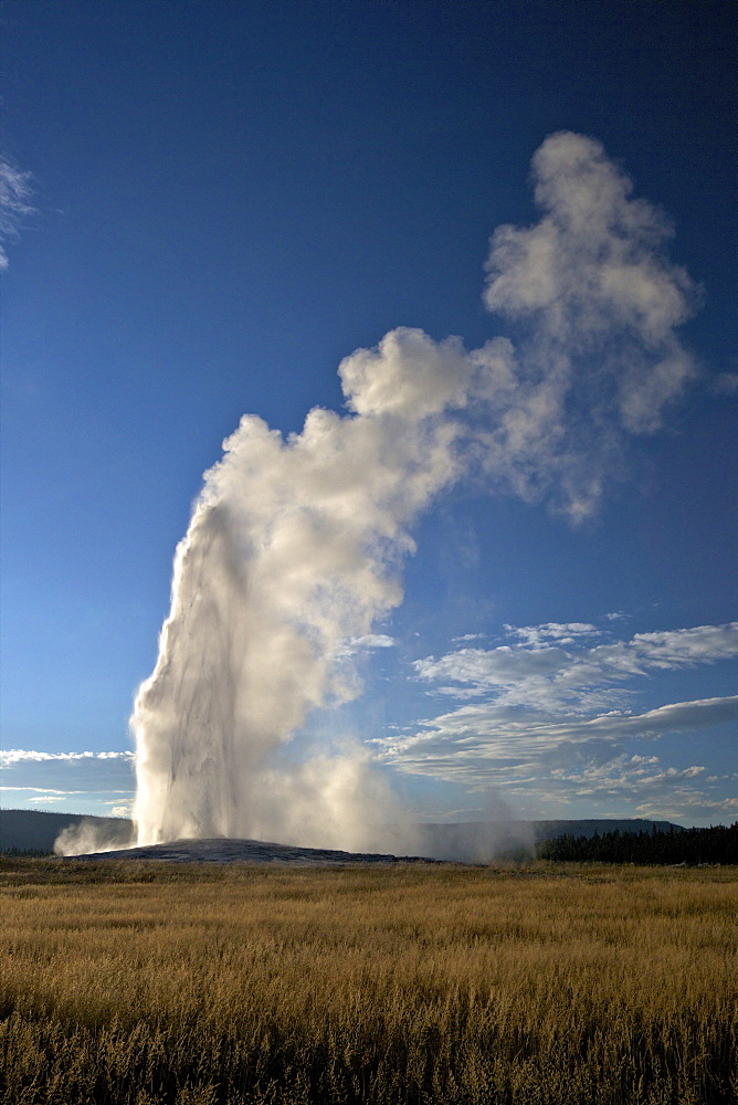 Old Faithful Geyser erupting in summer evening light, Yellowstone National Park, UNESCO World Heritage Site, Wyoming, United States of America, North America 