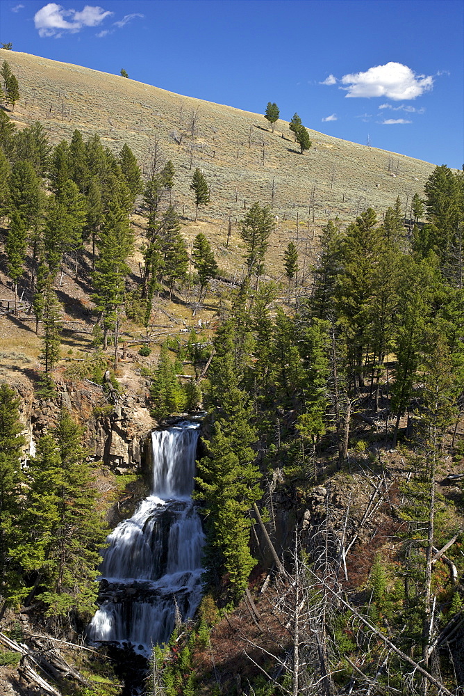 Undine Falls, near Mammoth Hot Springs, Yellowstone National Park, UNESCO World Heritage Site, Wyoming, United States of America, North America 