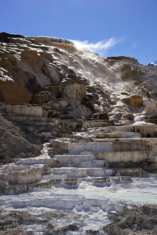 Palette Spring, Mammoth Hot Springs, Yellowstone National Park, UNESCO World Heritage Site, Wyoming, United States of America, North America 