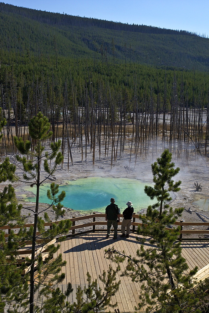 Visitors at Cistern Spring, Norris Geyser Basin, Yellowstone UNESCO World Heritage Site, Wyoming, United States of America, North America 