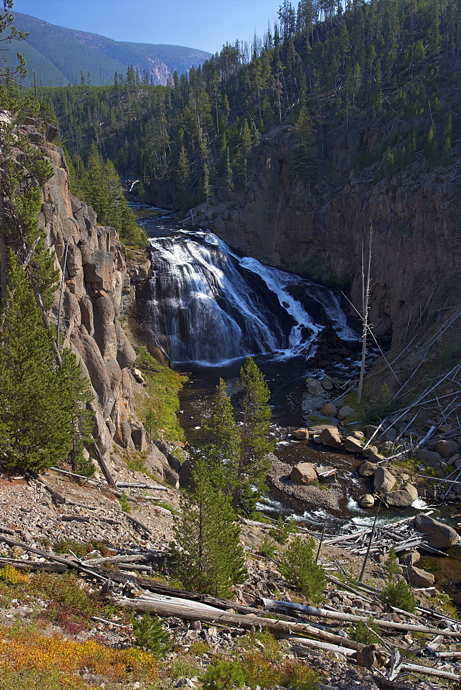 Gibbon Falls, Yellowstone National Park, Wyoming, UNESCO World Heritage Site, Wyoming, United States of America, North America 