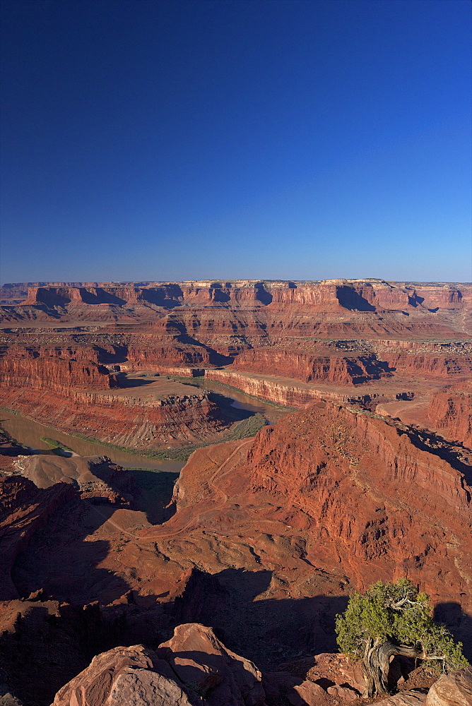 Colorado River from Dead Horse Point Overlook, Dead Horse Point State Park, Utah, United States of America, North America 