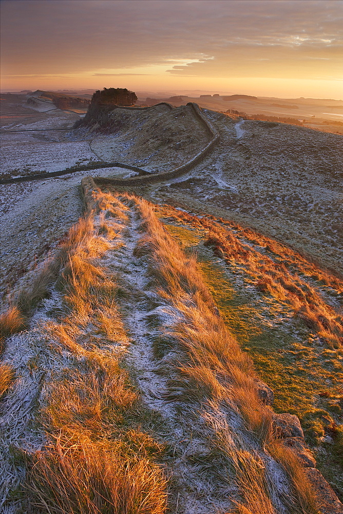 Sunrise on Hadrian's Wall National Trail in winter, looking to Housesteads Fort, Hadrian's Wall, UNESCO World Heritage Site, Northumberland, England, United Kingdom, Europe