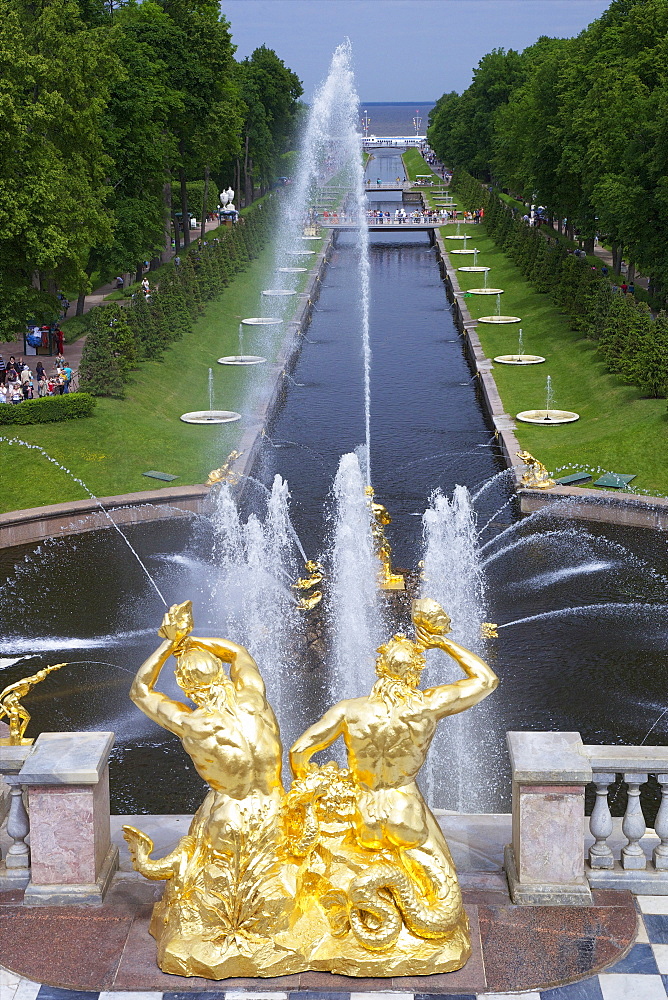 Peterhof Fountains of the Grand Cascade and gardens in summer, Petrodvorets, St. Petersburg, Russia, Europe 