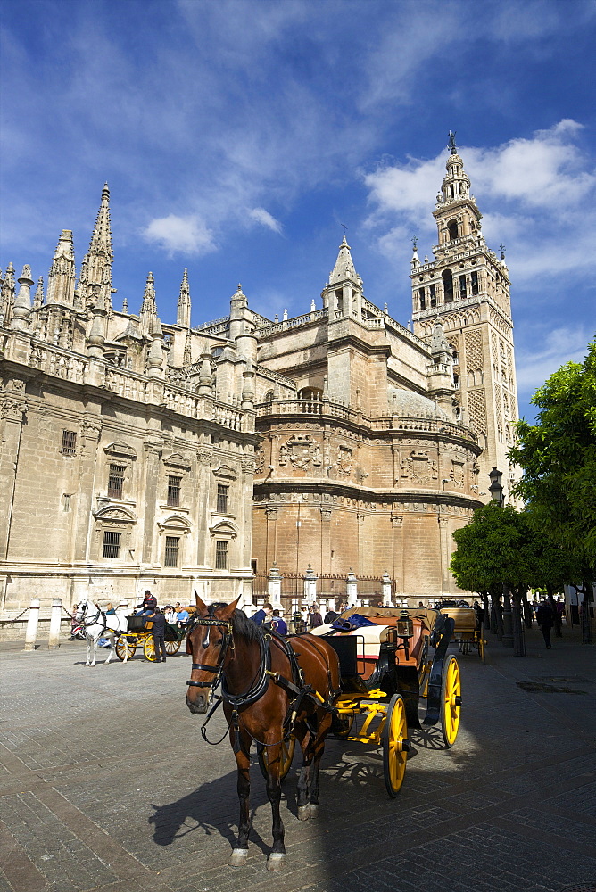 Horse-drawn carriage, Seville Cathedral (Catedral Sevilla), UNESCO World Heritage Site, Andalucia, Spain, Europe