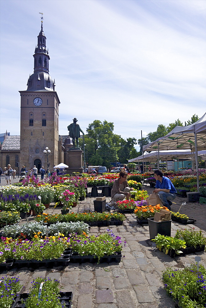 Stortorvet Square with flower market and Cathedral (Domkirke), Oslo, Norway, Scandinavia, Europe