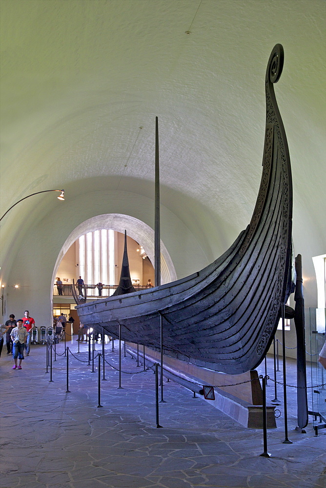 Oseberg ship, 9th century burial vessel with classic curled prow, Viking Ship Museum, Vikingskipshuset, Bygdoy, Oslo, Norway, Scandinavia, Europe