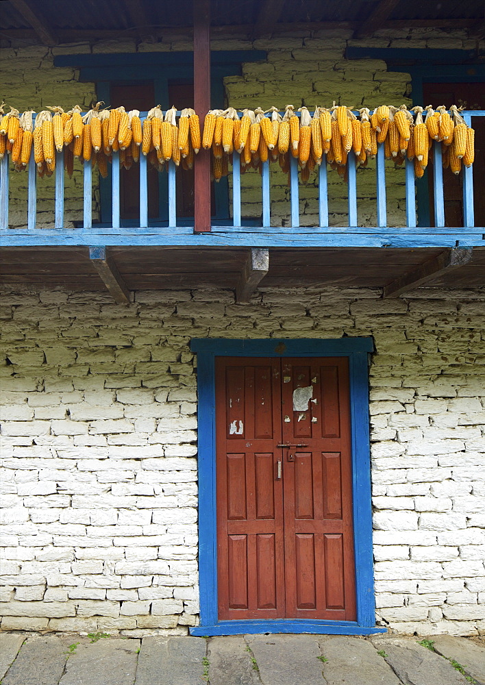 Traditional house drying corn, near Ulleri, Annapurna Sanctuary Region, Himalayas, Nepal, Asia