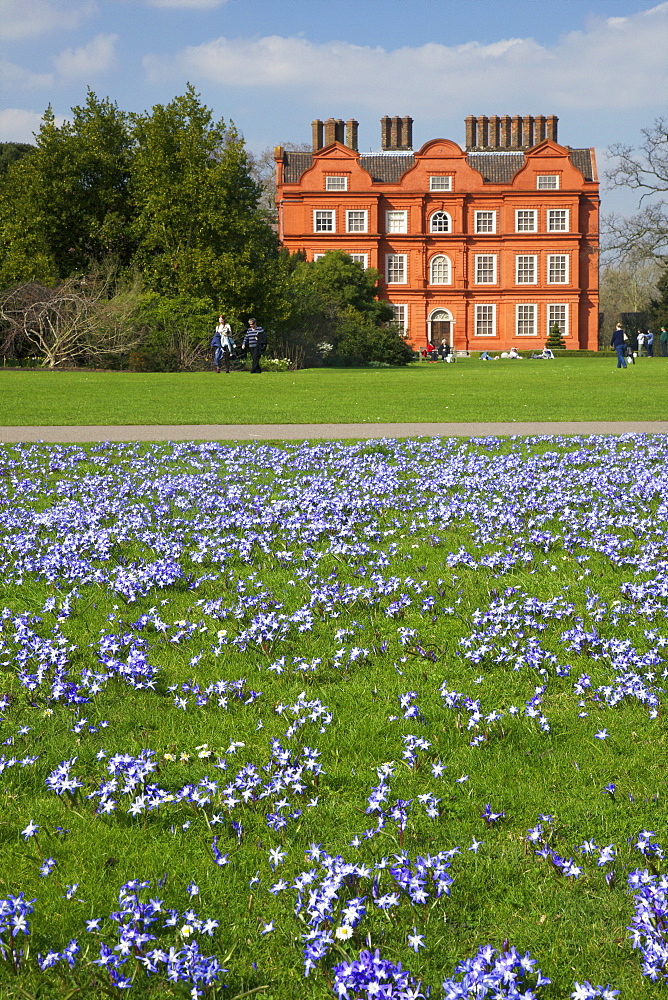 Glory of the Snow flowers in lawns near Kew Palace in spring, Royal Botanic Gardens, Kew, UNESCO World Heritage Site, London, England, United Kingdom, Europe