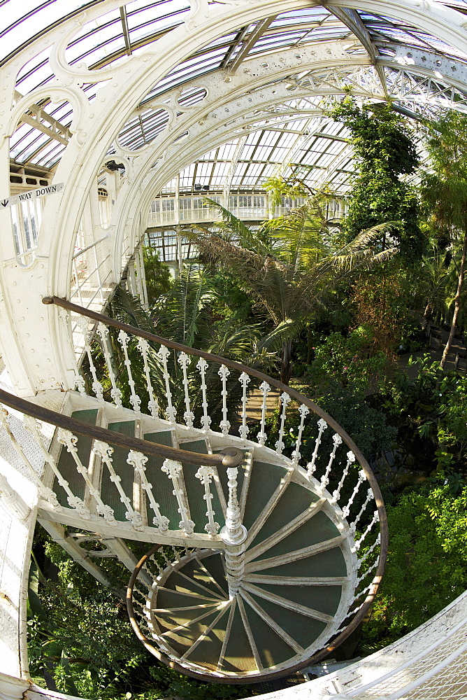 Spiral staircase in the Temperate House, Royal Botanic Gardens, Kew, UNESCO World Heritage Site, London, England, United Kingdom, Europe