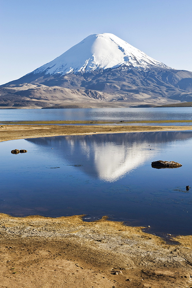 Parinacota volcano reflecting in the Chungara lake, Lauca National Park, UNESCO Biosphere Reserve, Arica and Parinacota Region, Chile, South America