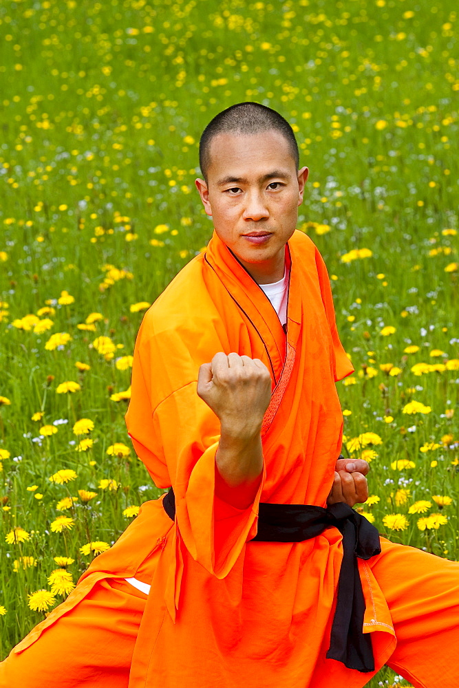 Shaolin monk