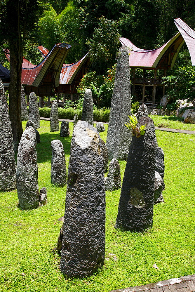 Megalithic complex, Kalimbuang Bori, Toraja culture, Sulawesi, Indonesia, Asia