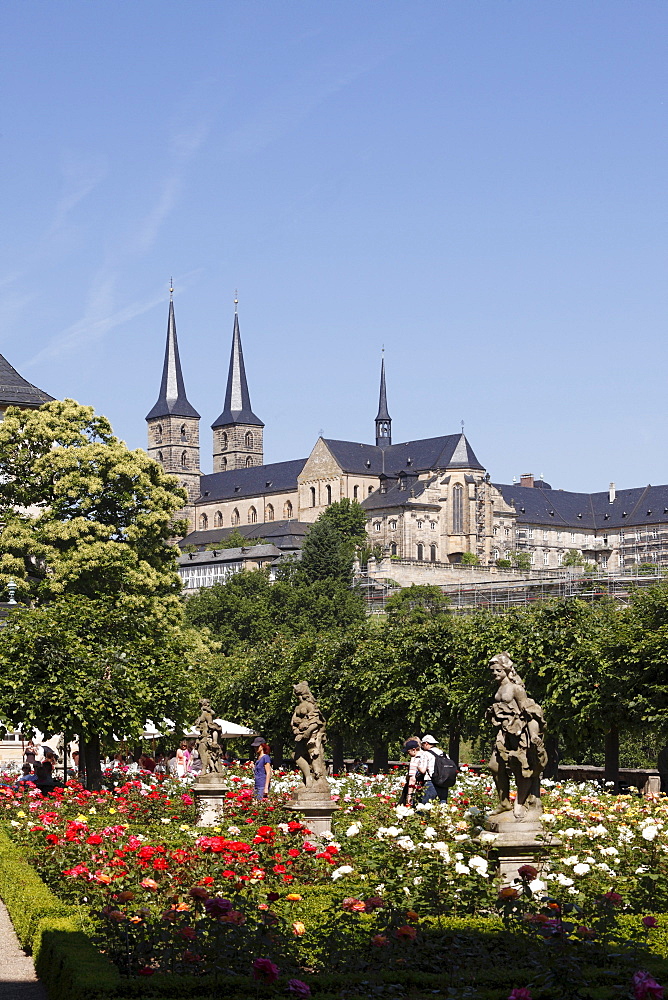 Rose garden of the Neue Residenz, New Residence, church of St. Michael, Bamberg, Upper Franconia, Franconia, Bavaria, Germany, Europe