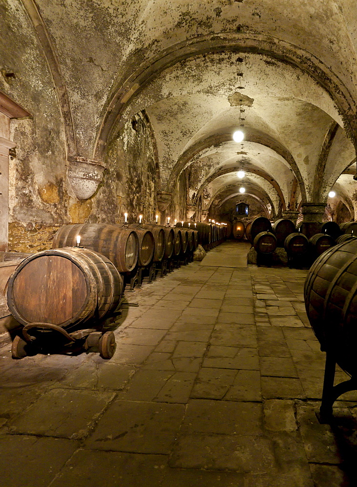 Wine cellar at the Kloster Eberbach Abbey, Eltville am Rhein, Rheingau, Hesse, Germany, Europe