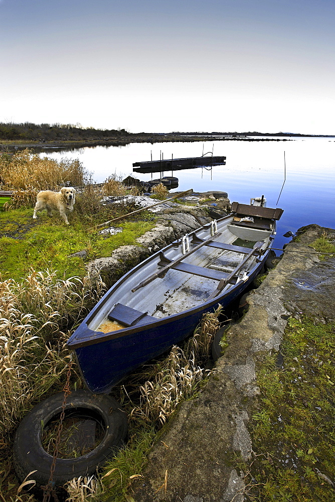 Small dinghy moored at Lough Corrib, Connemara, County Galway, Republic of Ireland, Europe