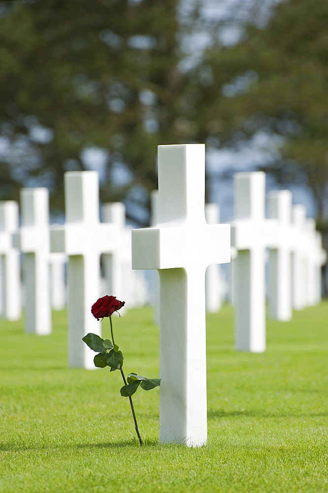 Crosses, made of marble, American military cemetery at Omaha Beach near Colleville sur Mer, Normandy, France, Europe