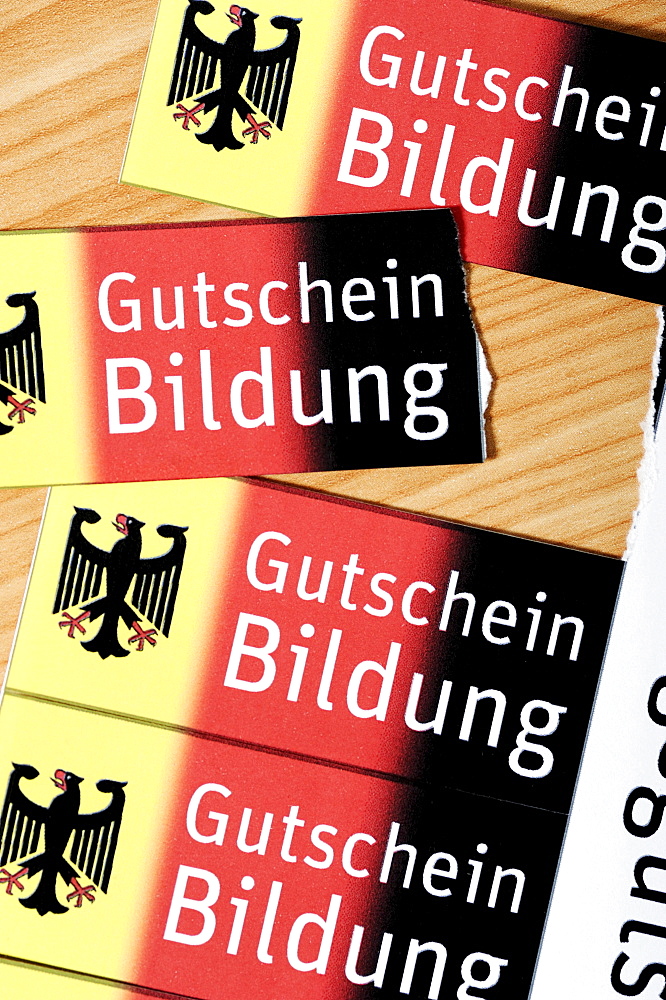 Vouchers, Bildungsgutschein coupons, lettering "Gutschein Bildung", German for "education voucher", symbolic image