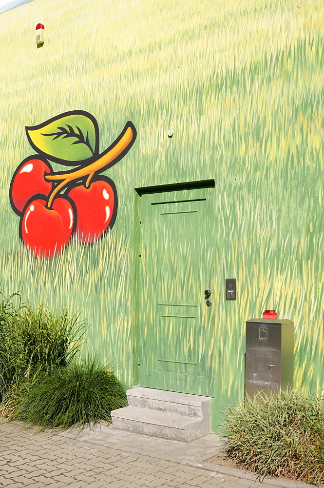 Mural on a house wall, cherries and grass motif