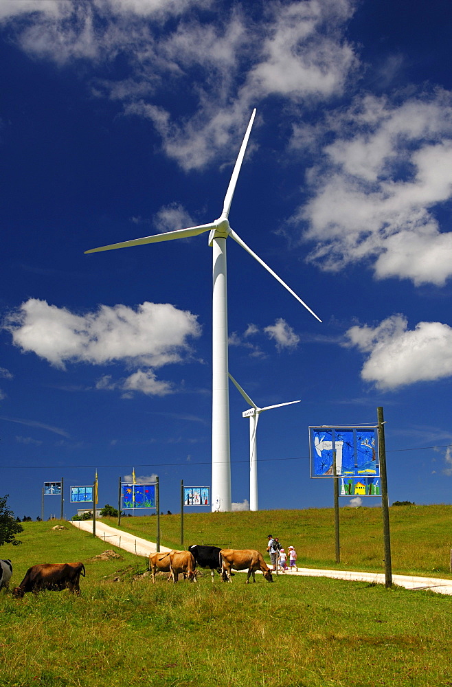 Wind turbines at Mont Crosin Wind Power Station, St. Imier, Jura, Switzerland, Europe