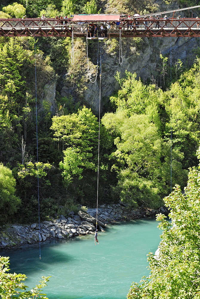 Bungee-jumping from the historic suspension bridge over the Kawarau River, Arrowtown, South Island, New Zealand