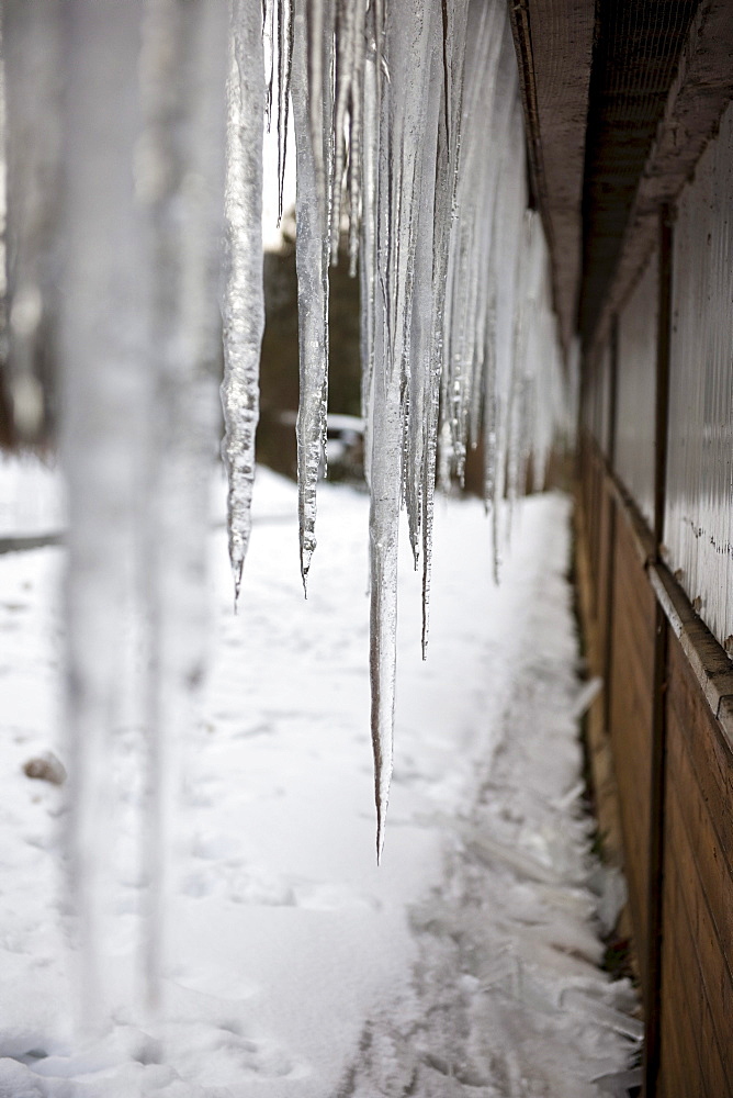 Icicles