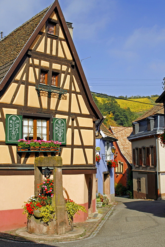 Half-timbered house, street, Niedermorschwihr, Alsace Wine Route, France, Europe