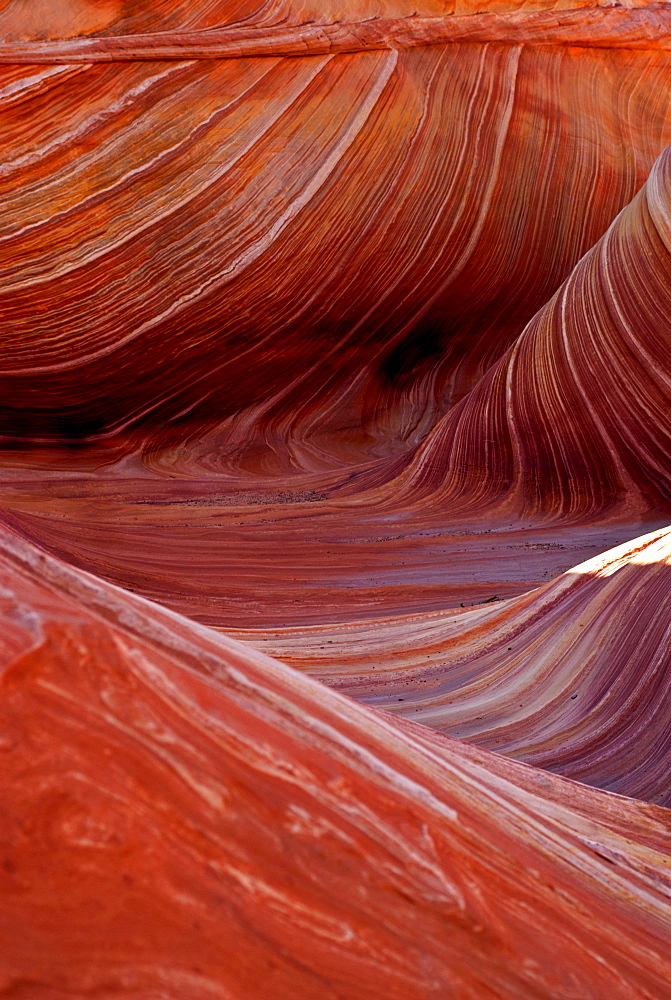 The Wave, Vermillion Cliffs, Utah, USA, America