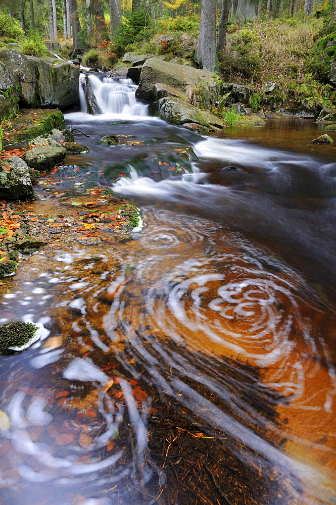 Waterfalls on the Bode River in autumn near Braunlage, Lower Saxony, Germany, Europe