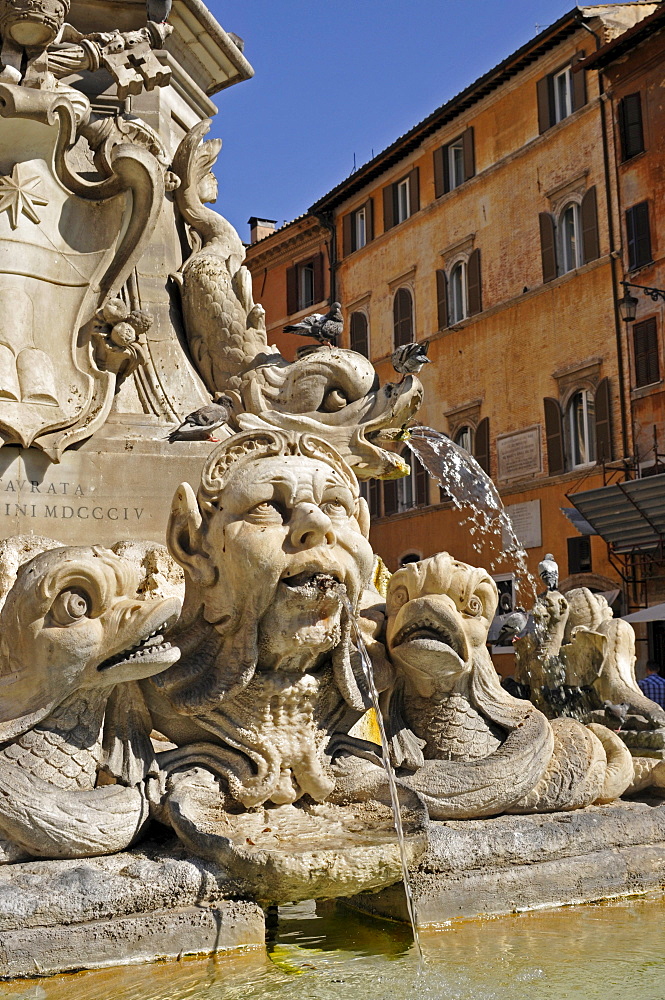 Fontana di Pantheon, fountain in Piazza della Rotonda, Rome, Lazio, Italy, Europe