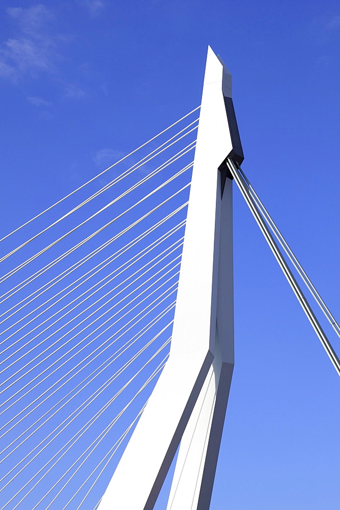 Cable-stayed bridge, bridge pier, pylon, Erasmus Bridge, Erasmusbrug, Rotterdam, Kop van Zuid, Netherlands, Europe