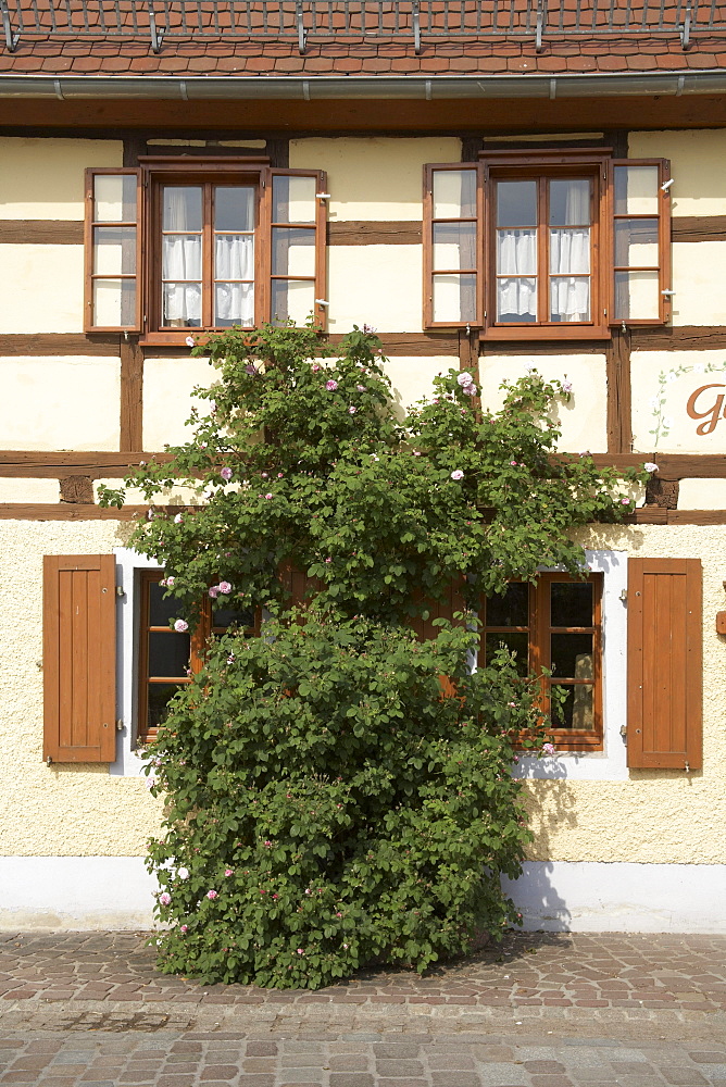 Half-timbered, historic guest house opposite the Kloster Buch monastery in Klosterbuch, Saxony, Germany, Europe