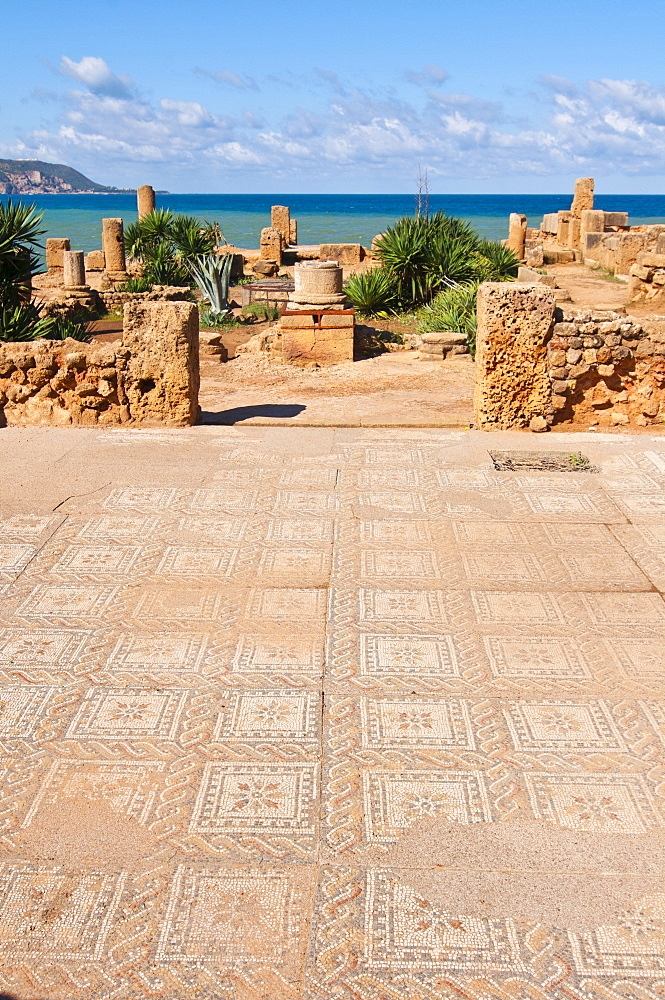 Roman ruins of Tipasa, UNESCO World Heritage Site, Algeria, Africa