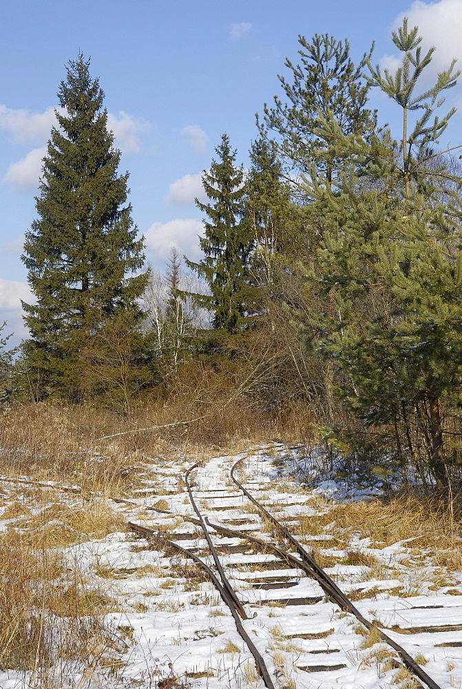 Tracks of a narrow-gauge railway for transporting peat, Stammbecken Moor, near Rosenheim, Bavaria, Germany, Europe