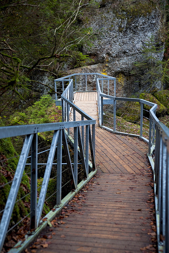 Viewing platform at the Eistobel gorge near Isny, Baden-Wuerttemberg, Germany, Europe