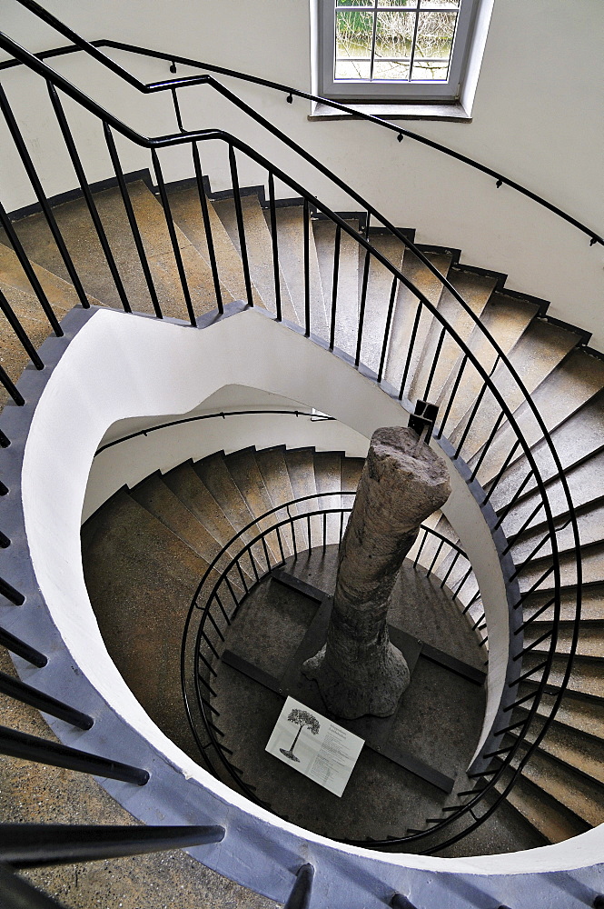 Spiral staircase with a Scale Tree (Lepidodendrales), Deutsches Museum, Munich, Bavaria, Germany, Europe