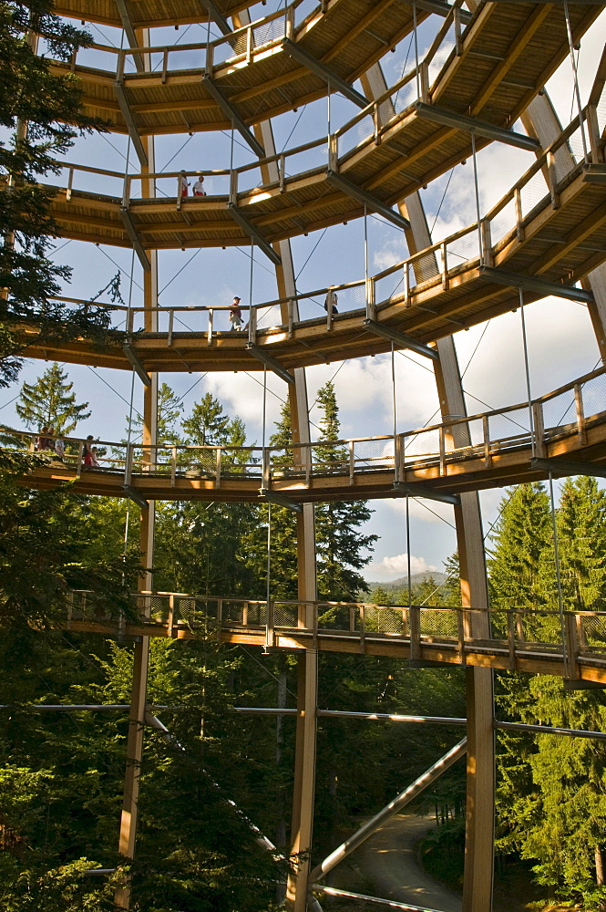 Tree platform, 44 metres high, the world's longest tree top walk, barrier-free spiral form, Neuschoenau, Bavarian Forest National Park, Bavaria, Germany, Europe