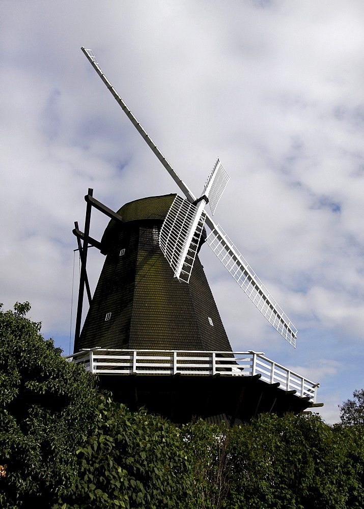 Windmill in Rudkobing, Langeland, Denmark, Europe