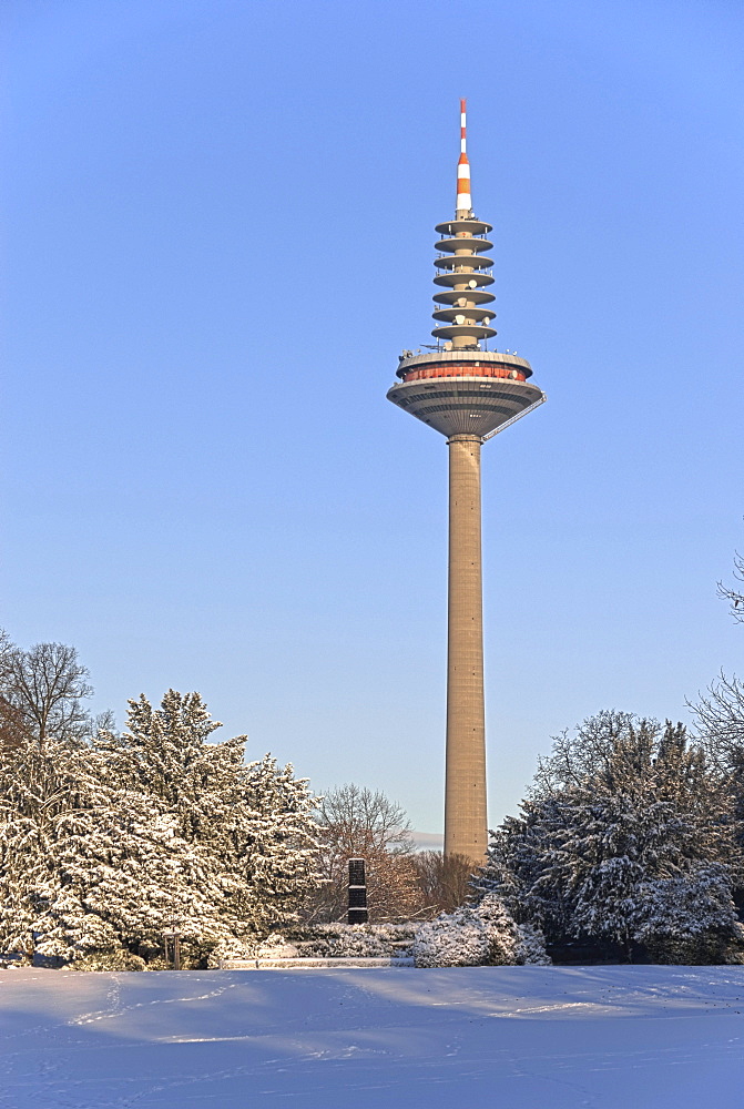 Europaturm telecommunications tower, nicknamed "Ginnheimer Spargel", and the commemorative obelisk of the former Palais Rothschild, Grueneburg Park park in winter, Frankfurt am Main, Hesse, Germany, Europe