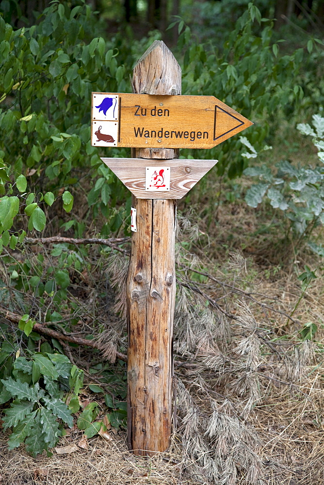 Signpost, Mueritz National Park, Mecklenburg Lake District, Mecklenburg-Western Pomerania, Germany, Europe