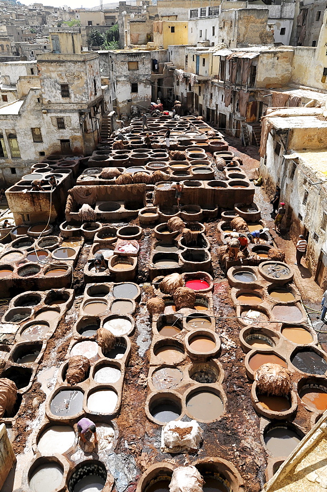 Workers, Tanner's Quarter or Dye Pits of Chouwara in Fez El Bali, Medina, a UNESCO World Heritage Site, Fez, Morocco, Africa