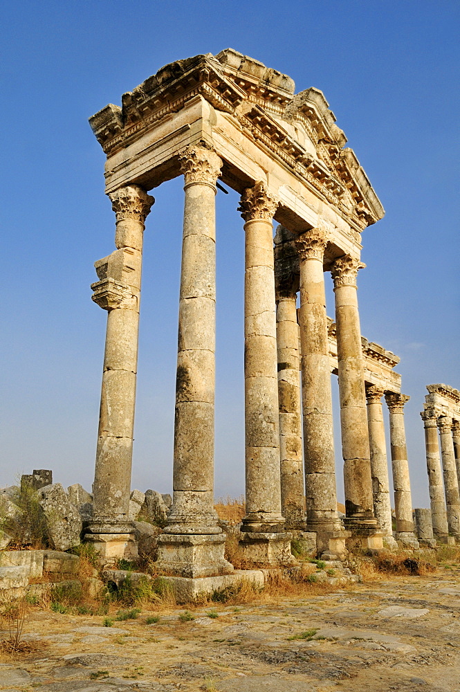 Ruins at the Roman archeological site of Apameia, Apamea, Qalaat al Mudiq, Syria, Middle East, West Asia